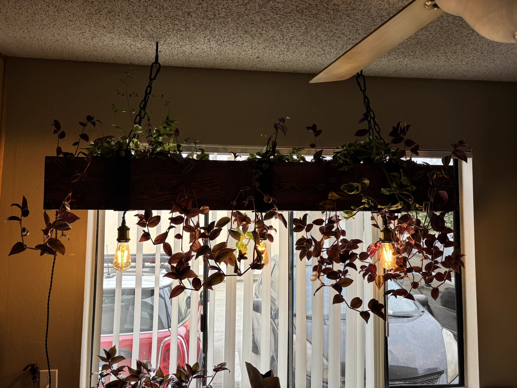 Custom wooden hanging planter with Edison bulbs