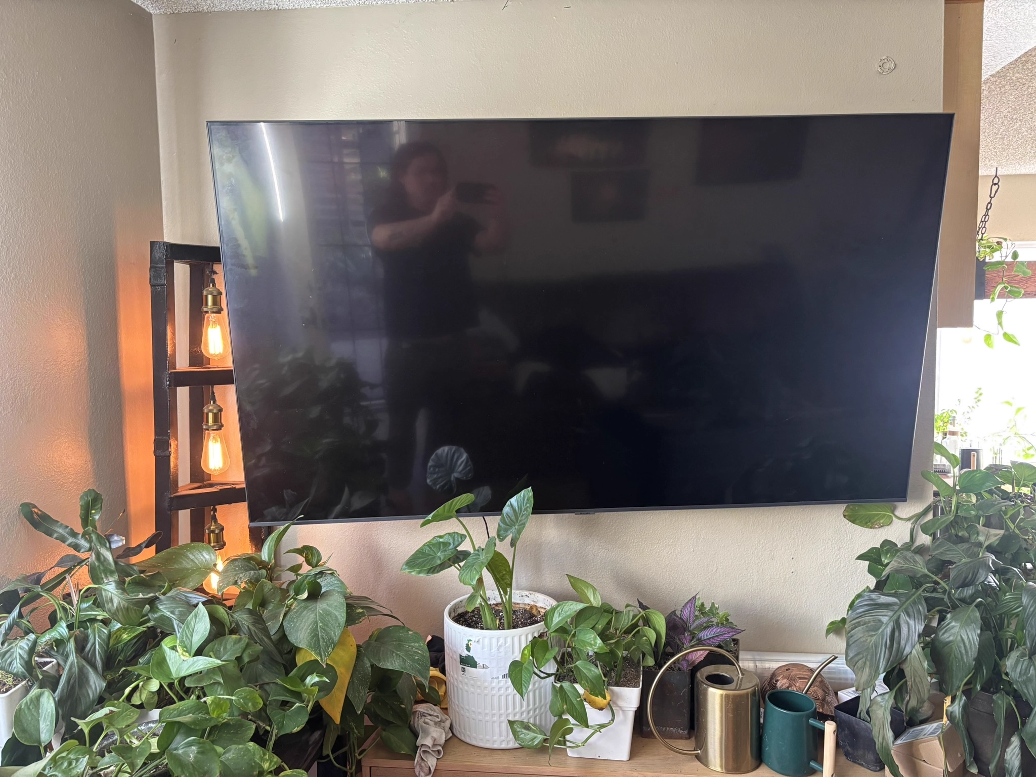 Large TV mounted cleanly above plants and wooden shelf